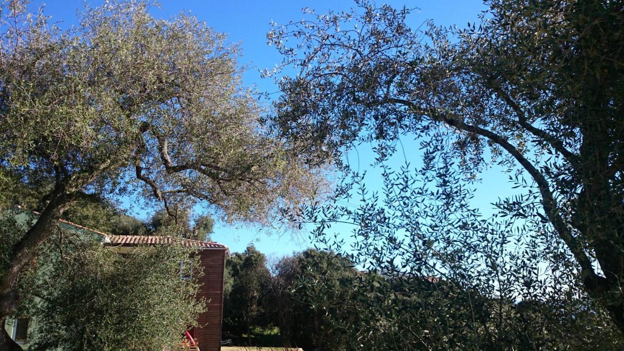 La Pampa Cargese Chambres D Hotes Exteriör bild